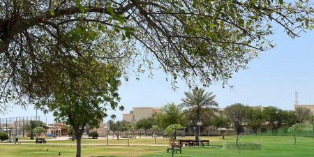 تنفيذ مشروع الري الذكي في حديقتي التواصل والخور.. وخفض استهلاك المياه 25%