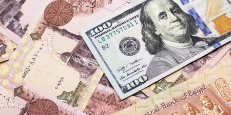 مؤشر بيج ماك: السعر العادل للدولار يساوي 23.31 جنيهاً مصرياً
