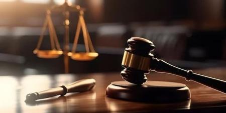 بعد
قليل،
محاكمة
المتهم
بخطف
طفل
في
المعصرة
انتقاما
من
والده