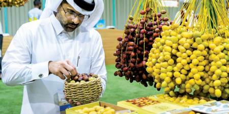 153 ألف كيلو مبيعات مهرجان الرطب