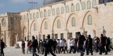 133 مستوطنًا يقتحمون المسجد الأقصى بحماية شرطة الاحتلال الإسرائيلي