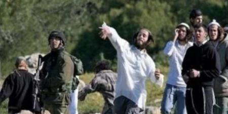 إصابة 6 فلسطينيين خلال هجوم لمستوطنين جنوب الخليل
