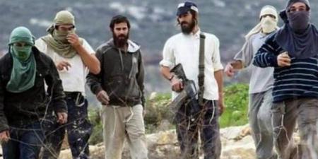 إعلام عبري: إصابة مستوطن في رأسه جراء رشقه بالحجارة قرب مستوطنة كريات 4 شرق الخليل
