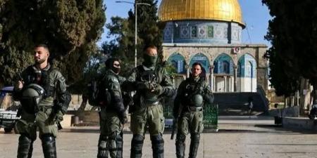 الاحتلال الإسرائيلي يعتقل 5 فلسطينيين بينهم طفل وسط هجمات للمستوطنين بالرصاص الحي