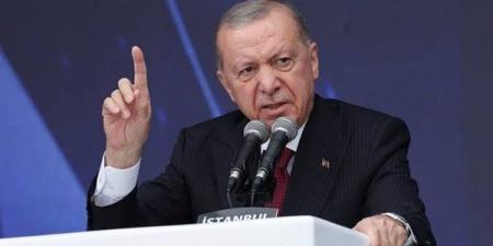 أردوغان: اتفاقية مكة توجب على الأعضاء اتخاذ خطوات موحدة حال تعرض أحدهم للاعتداء