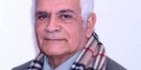 القطط السمان الجديدة!