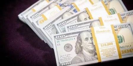 سعر الدولار أمام الجنيه فى البنوك المصرية (آخر تحديث)