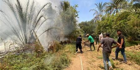 حريق داخل منطقة زراعية في الفرافرة بالوادي الجديد