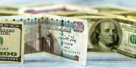 سعر صرف الدولار في البنوك المصرية (آخر تحديث)