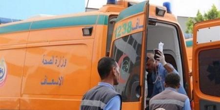 إصابة عامل إثر سقوط حائط عليه في قرية الأوسط سمهود بقنا