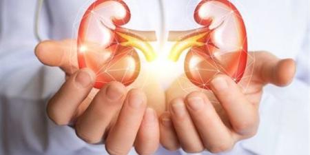10 علامات تؤكد أن الكلى بصحة جيدة و9 نصائح للحفاظ عليها