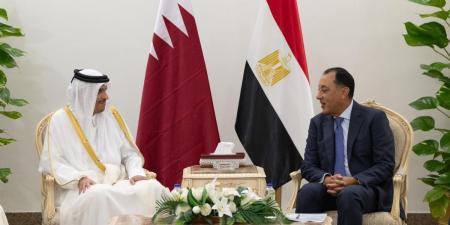 رئيس مجلس الوزراء وزير الخارجية يجتمع مع رئيس الوزراء المصري