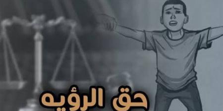 أزمة تعطيل تنفيذ أحكام الرؤية تحت قبة البرلمان، لماذا تطالب الأحزاب بكتاب دوري وتنظيم للاستضافة؟