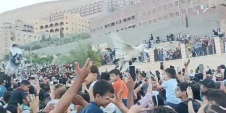 حمام أبيض وزغاريد في جبل أسيوط، آلاف الأقباط يحيون "زفة العذراء" بدرنكة (فيديو)