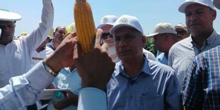 «الزراعة» تطلق يوم الحقل السنوي للذرة والأرز بسخا لتعزيز الأمن الغذائي ورفع الإنتاجية (صور)