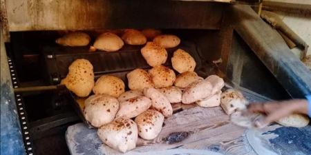 اليوم، "المخابز" تعقد اجتماعا مع وزير التموين لمناقشة الدعم النقدي وأزمة بيع الخبز الحر