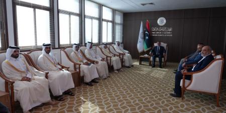 رئيس المجلس الأعلى لدولة ليبيا يجتمع مع وزير الدولة بوزارة الخارجية