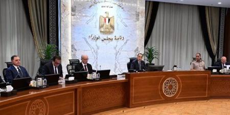 مجلس الوزراء يوافق على استمرار العمل عن بُعد يوم الأحد خلال سبتمبر