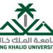 جامعة الملك خالد تتيح 15 برنامج دراسات عليا للعام 1448-1449هـ