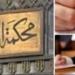 النقض تلغى حكم بطلان عضوية نائبى مجلس النواب عن دائرة منيا القمح بالشرقية