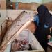 حملات
مكبرة
بسوقي
الروضة
والعصر
ببورسعيد
تضبط
لحومًا
فاسدة
ودواجن
محقونة
بالمياه