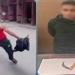 ”أخويا
ضربني”..
بائع
فاكهة
يعتدي
على
شقيقه
بسلاح
أبيض
بالمحلة