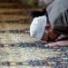 مواقيت
      الصلاة
      في
      مصر
      اليوم
      الخميس (تحديث)