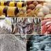 خريطة
      الأسعار
      اليوم
      في
      مصر..
      تراجع
      الدواجن
      والبيض
      وارتفاع
      الذهب
      والطماطم