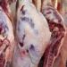 "الخدمات البيطرية" تكثف حملاتها لعيد الأضحى: الختم صمام الأمان وتجنبوا المصادر المجهولة
