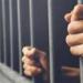 كشف
      لغز
      العثور
      على
      جثمان
      طفلة
      بسنورس
      بمحافظة
      الفيوم..
      والأب
      يعترف
      بارتكاب
      الجريمة