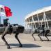 بعد ظهورها في مونديال قطر.. كلاب روبوتية لتأمين كأس العالم 2026