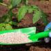 انخفاض النترات العادي 2268 جنيها، أسعار الأسمدة اليوم في الأسواق