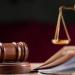 سائق ميكروباص يستأنف على حكم حبسه 5 سنوات في واقعة دهس مسن وحفيدته بالمعصرة