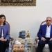 محافظ الإسماعيلية يعلن عن إنشاء دارين للإيواء العاجل وحماية القاصرات والمعنفات