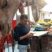 بيطري أسيوط يضبط نصف طن لحوم وأسماك غير صالحة للاستهلاك الآدمي
