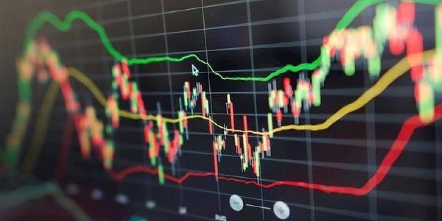 هيرميس للوساطة فى الأوراق المالية تتصدر قائمة شركات السمسرة بنهاية الأسبوع