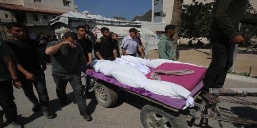 الصحة بغزة: حصيلة ضحايا الإبادة ترتفع إلى أكثر من 172 شهيداً وجريحاً