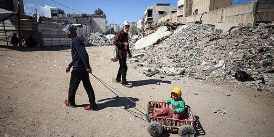 قيادي بحماس: مفاوضات "متقدمة مباشرة" بين الحركة وإدارة ترمب بشأن غزة