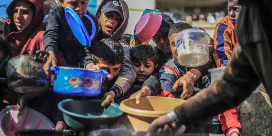 "الإعلامي الحكومي" بغزة: القطاع على حافة المجاعة ونطالب بإدخال 500 شاحنة مساعدات يومياً