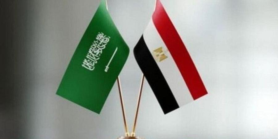 الحكومة المصرية تكشف حقيقة توتر العلاقات مع السعودية