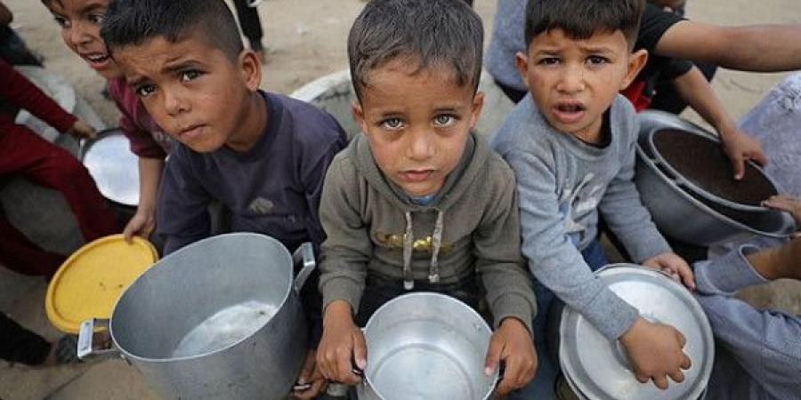 بيان مشترك لـ80 دولة: غزة تواجه أسوأ أزمة إنسانية منذ بدء الحرب