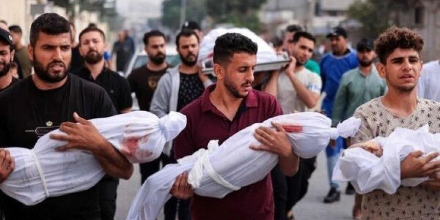 "الصحة" بغزة تنشر إحصائية بأعداد الشهداء الأطفال منذ بدء حرب الإبادة على قطاع غزة