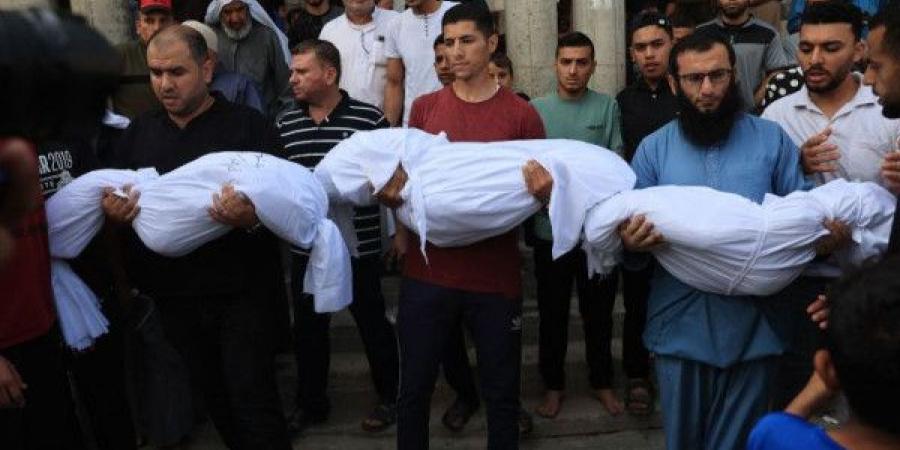 رئيسة سلوفينيا: ما نشهده في غزة إبادة جماعية والعالم يلتزم الصمت