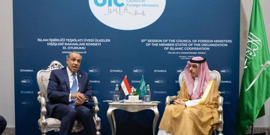 وزير الخارجية يلتقي وزير خارجية مصر