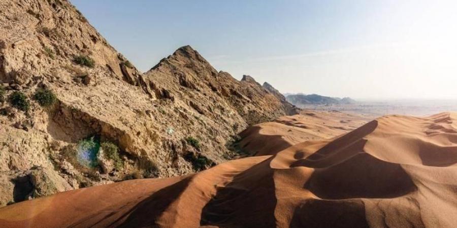 «اليونيسكو» تدرج «الفاية» في قائمة التراث العالمي 2025
