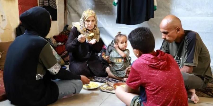 حاملٌ في زمن الحرب.. فاطمة تحلم بمولود سليم في غزة