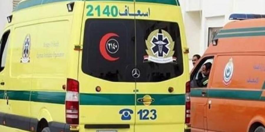 مصر.. طفلة تلحق بأشقائها الأربعة عقب وفاتهم بمرض غامض