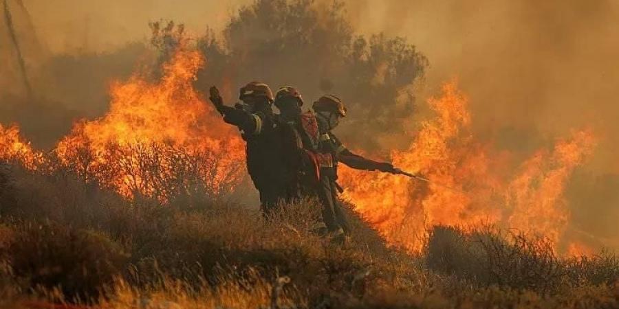 قبرص تكافح لإخماد حريق غابات مدمر