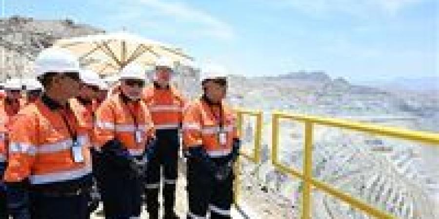 مفيش
      دهب
      بيضيع؟|
      رد
      حاسم
      من
      مسئولة
      بـ
      منجم
      السكري