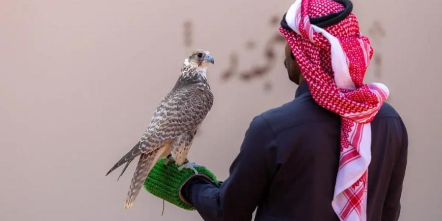 120
      صقارًا
      يدشنون
      أشواط
      نخبة
      المحليين
      في
      انطلاق
      مهرجان
      الملك
      عبدالعزيز
      للصقور
      2025